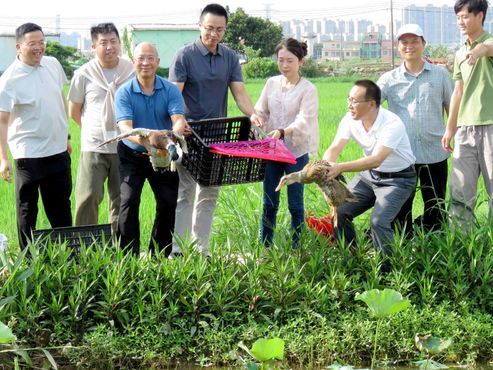 践行宗旨办实事  实干为民
