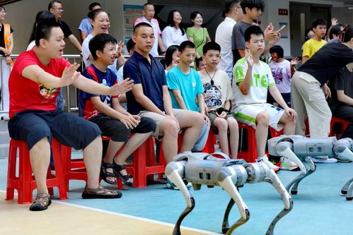 微信图片_20260930141949_155_154.jpg